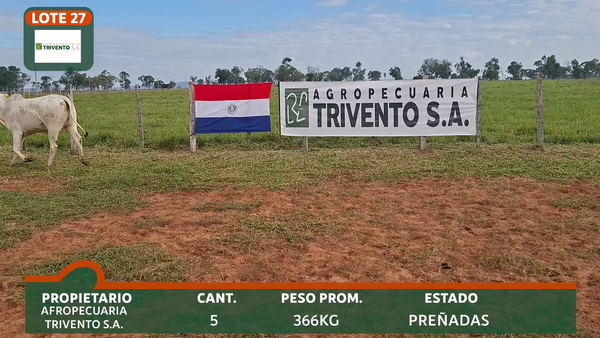 Lote TRIVENTO