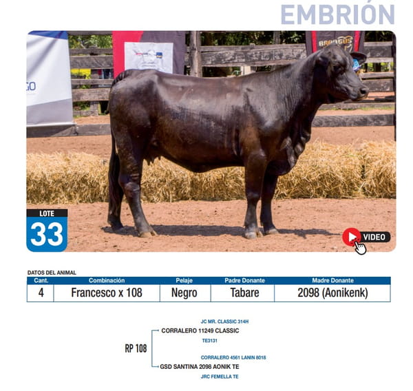 Lote Francesco x 108