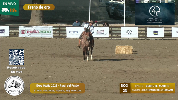 Lote HECHIZADO DEL CHAMAME - HUDSON BAYLEY, AGUSTIN