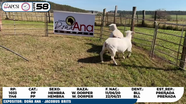 Lote LOTE 58