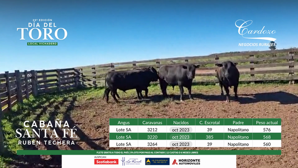 Lote Santa Fe - Angus