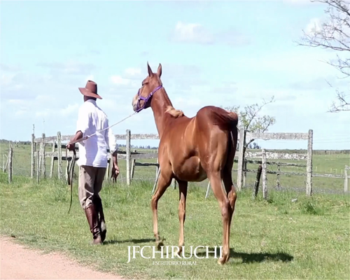 Lote GRANITA DE TRES PUENTES