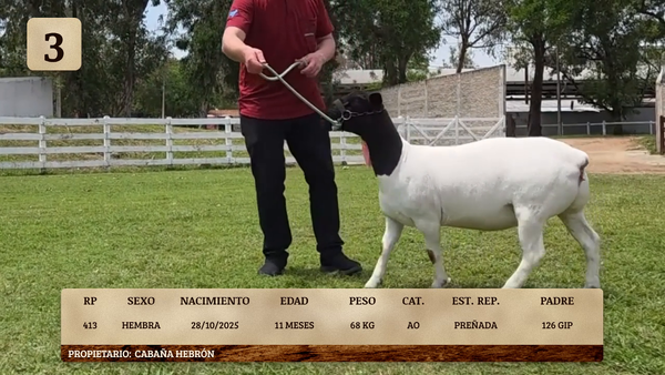 Lote LOTE 3
