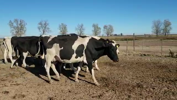 Lote Est. Don Osvaldo - Secas