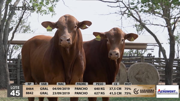 Lote Ganadera Santa Cecilia - Lote 45