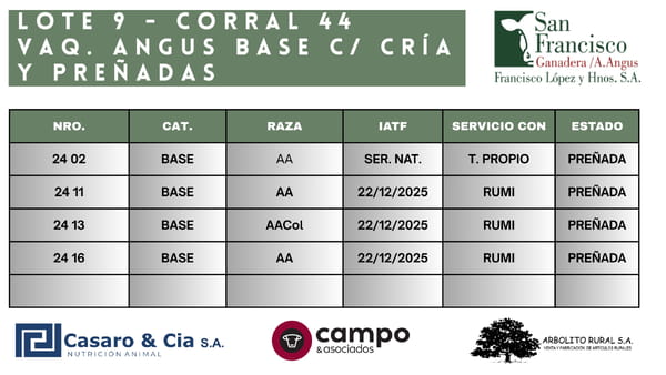 Lote Vaquillonas Angus BASE con Cría y Preñadas. San Francisco