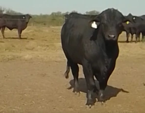 Lote CABAÑA LA NORTEÑA