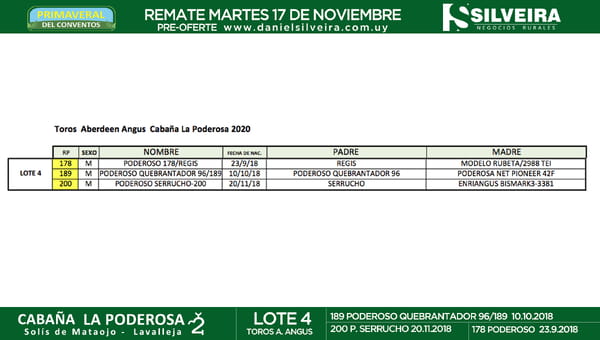 Lote Cabaña La Poderosa