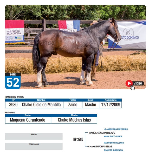 Lote Chake Cielo de Mantilla