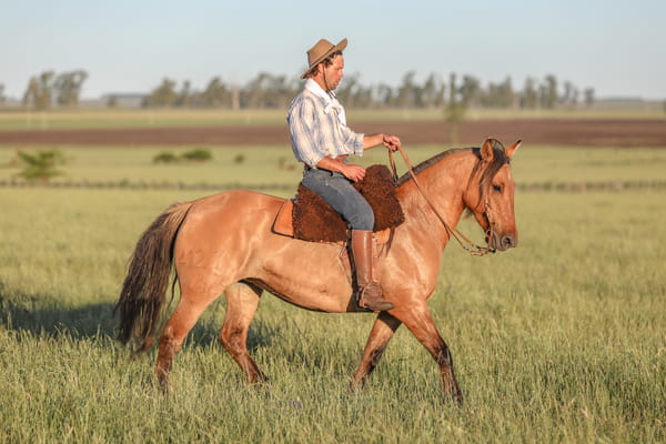 Lote DEL SILENCIO LUMINOSA