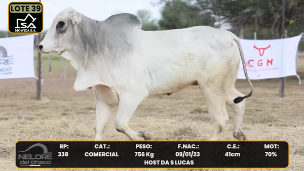 Lote LOTE 39