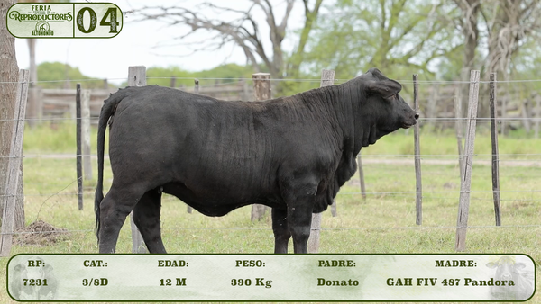 Lote LOTE 4- SALE A VENTA 50%