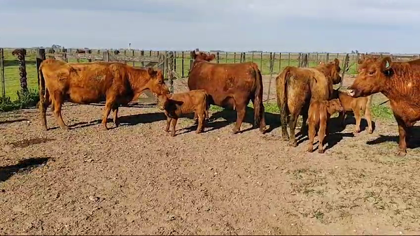 Lote 10 AL CORTE USADAS en Monte, Buenos Aires