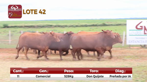 Lote Reproductores de Alborada - Lote 42