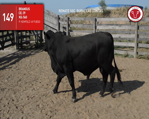 Lote CABAÑA "LA SEVERA" 149