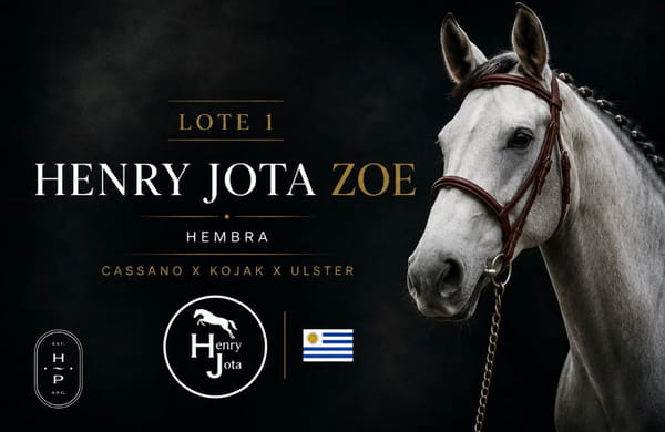 Lote HENRY JOTA ZOE