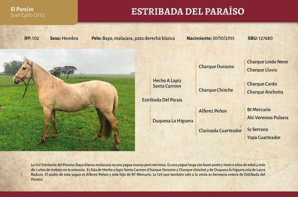 Lote Estribada Del Paraíso (RP 102) - Cabaña El Paraíso
