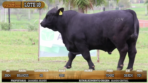 Lote LOTE 18