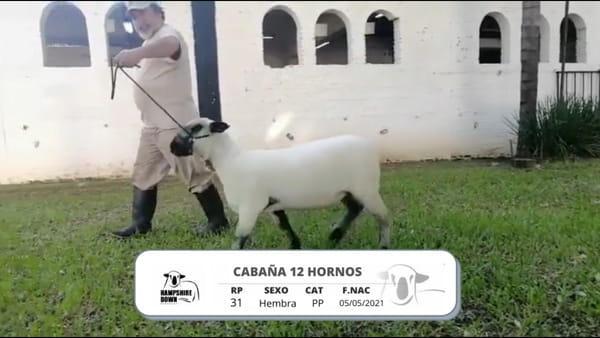 Lote LOTE 1A BOZAL - RP 31