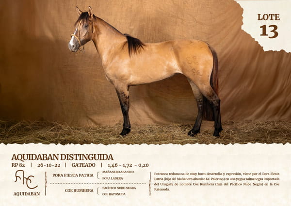 Lote AQUIDABAN DISTINGUIDA