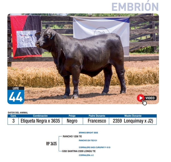 Lote Etiqueta Negra x 3635