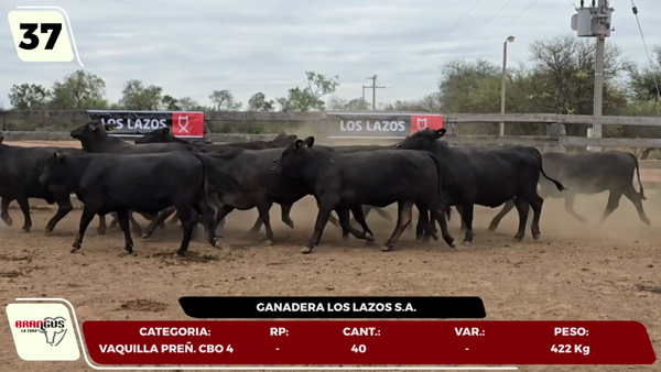 Lote LOTE 37- POR PANTALLA