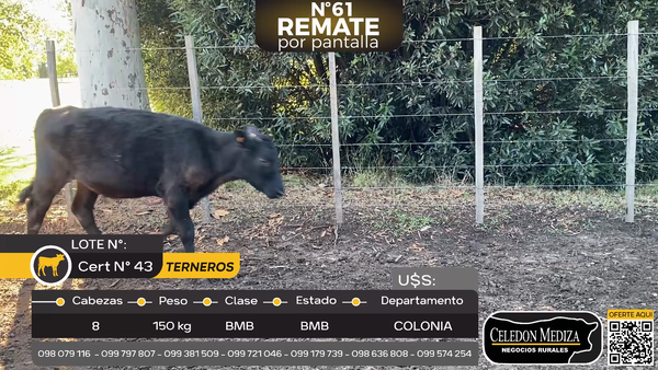 Lote 8 Terneros en Tarariras, Colonia