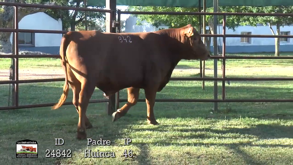 Lote 3 Toros, Artigas