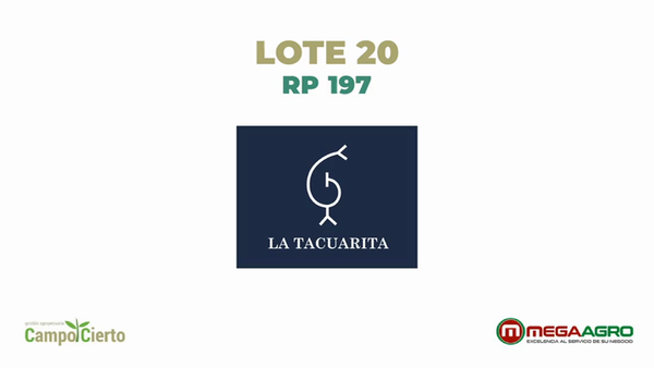 Lote LA TACUARITA