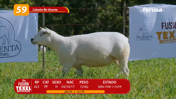 Lote LOTE 59