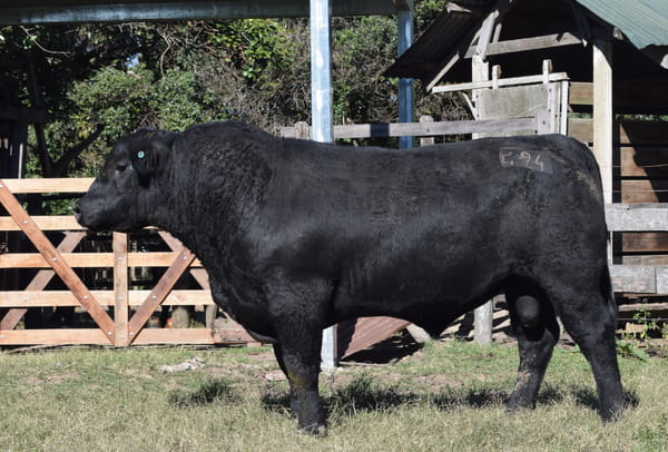 Lote CABAÑA “COEMBOTÁ” de Calderón RP 094