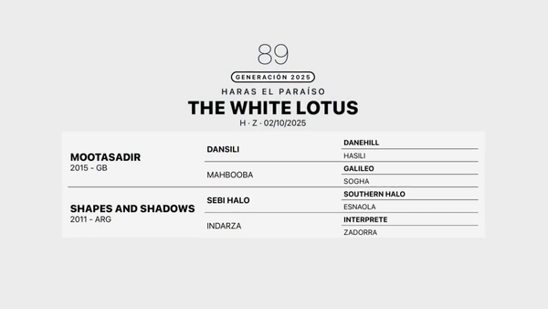 Lote THE WHITE LOTUS