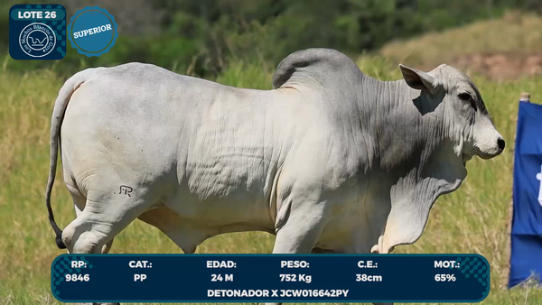 Lote LOTE 26