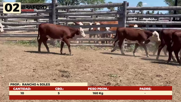 Lote LOTE 2