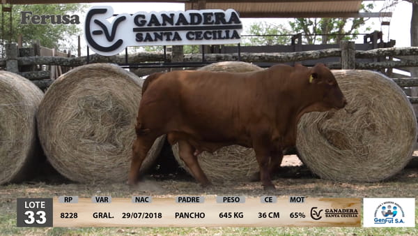 Lote Ganadera Santa Cecilia - Lote 33