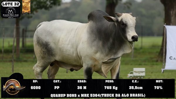 Lote LOTE 32