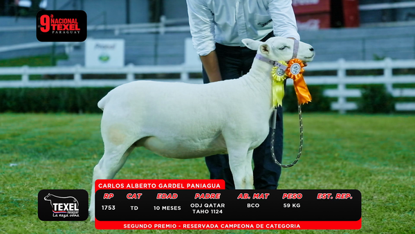 Lote LOTE 5
