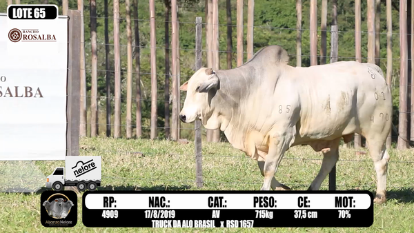 Lote LOTE 65  RP 4909