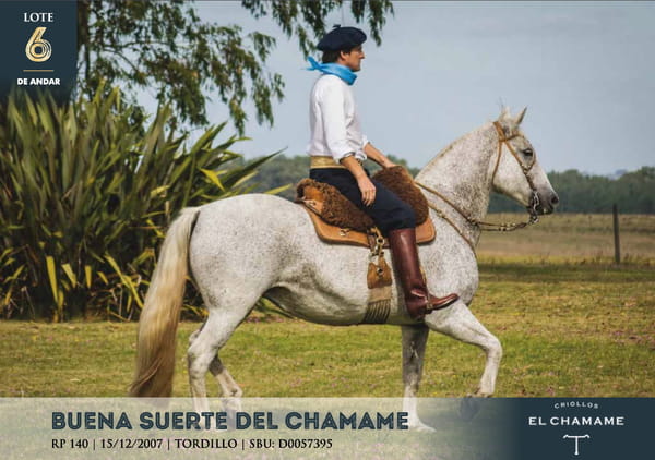 Lote BUENA SUERTE DEL CHAMAME