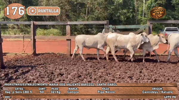 Lote LOTE 176 - PANTALLA