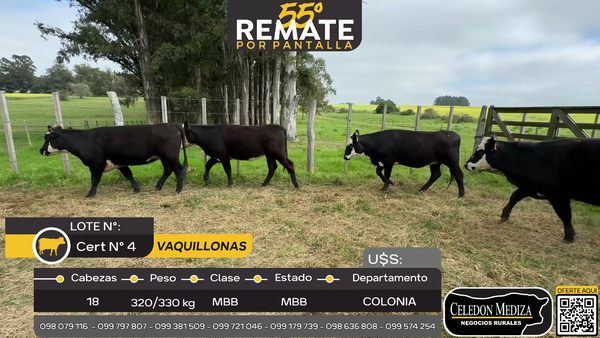 Lote 18 Vaquillonas, Puntas de Riachuelo, a 8 km de  Tarariras, Colonia