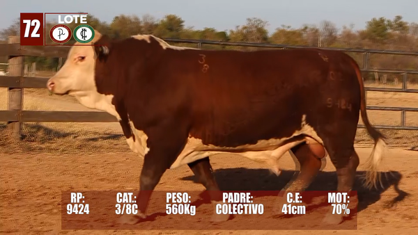 Lote Lote 72