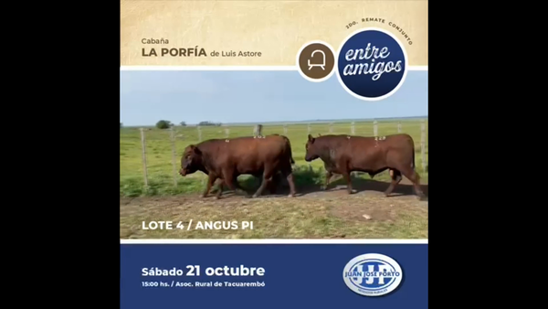 Lote Cabaña La Porfia