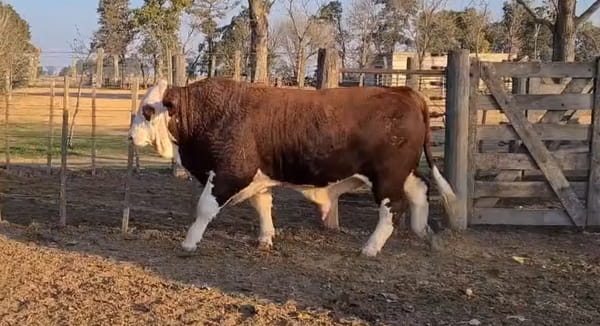 Lote CABAÑA LA ESPERANZA