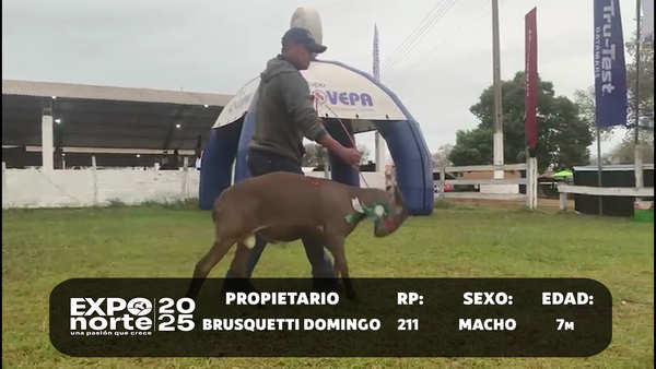 Lote RP 211,