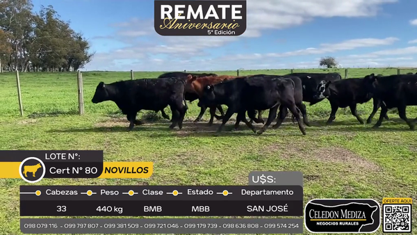 Lote 33 Novillos A 20km de San José , Ruta 11