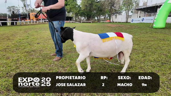 Lote RP 2,