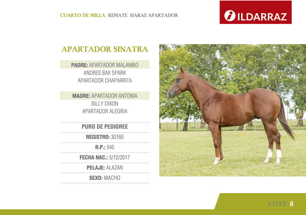Lote APARTADOR SINATRA