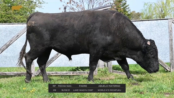 Lote RP 218 - Pajuelas de semen