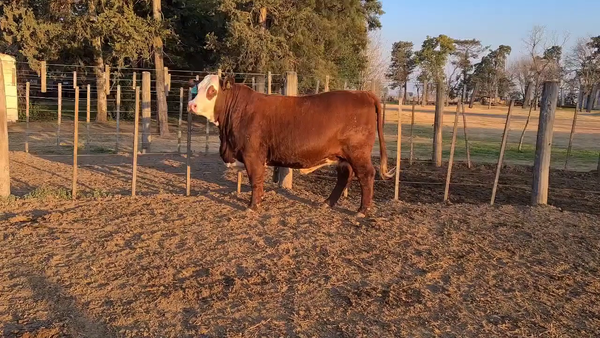 Lote CABAÑA LA ESPERANZA